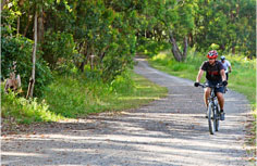 Springfield Area Biking Trails